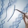 مشاور ژنتیک کیست و چه وظایفی دارد؟